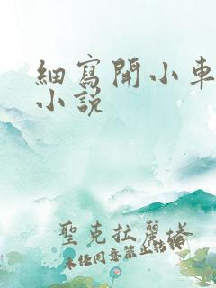 细写开小车车的小说