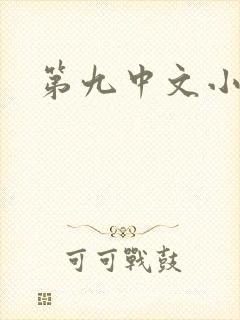 第九中文小说网