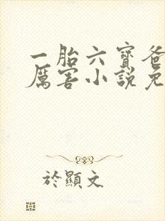 一胎六宝爸比好厉害小说免费阅读