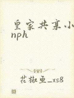 皇家共享小公主nph