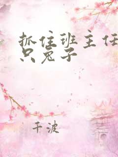 抓住班主任的两只兔子