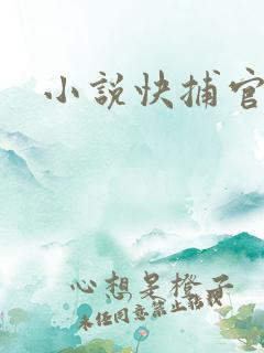 小说快捕官网