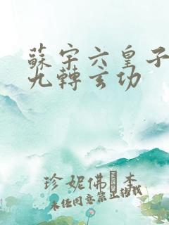 苏宇六皇子签到九转玄功