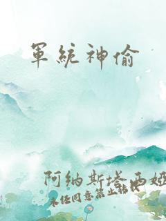 军统神偷