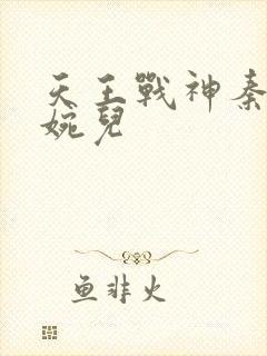 天王战神秦武林婉儿