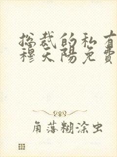 总裁的私有宝贝穆天阳免费