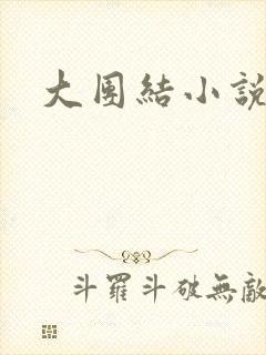 大团结小说阅读