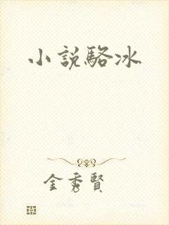 小说骆冰
