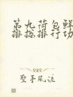 第九荷包鲜辣肉排总排行功能介绍