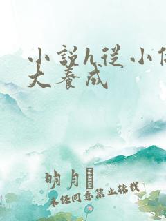 小说h从小做到大养成