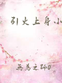 引火上身小说