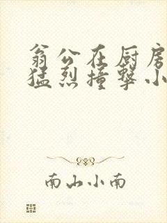 翁公在厨房和我猛烈撞击小说