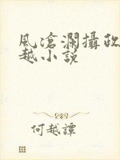 风沧澜摄政王穿越小说