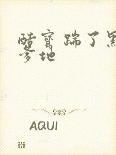 酷宝 踹了黑道爹地