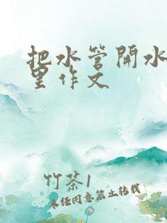 把水管开水放B里作文