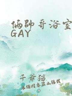 俩帅哥浴室互攻GAY