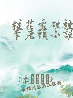 校花处破被灌满李老头小说