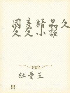 国产精品久久久久久小说