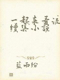 一起来看流星雨续集小说