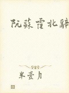 阮苏霍北辞小说