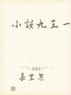小说九王一后