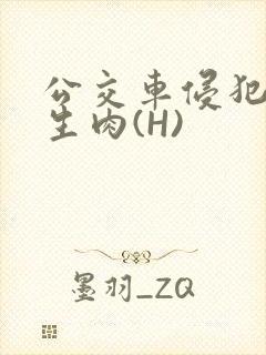 公交车侵犯小男生肉(H)