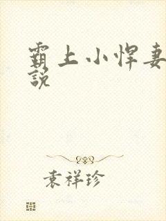 霸上小悍妻 小说