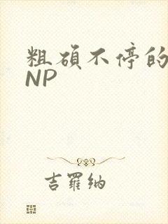 粗硕不停的进出NP