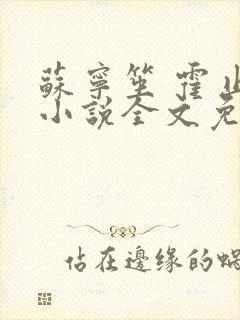 苏宁笙 霍止行小说全文免费阅读