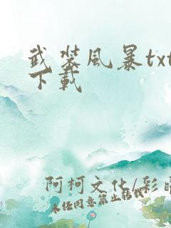 武装风暴txt下载