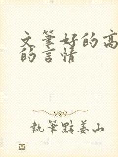 文笔好的高质量的言情