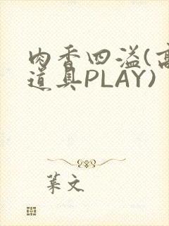 肉香四溢(高H道具PLAY)