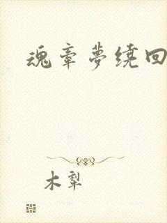 魂牵梦绕回大清