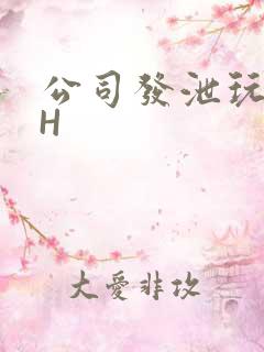 公司发泄玩具lH