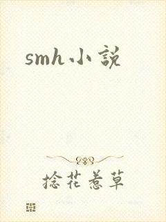 smh小说