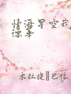 情海星空我与刘德华