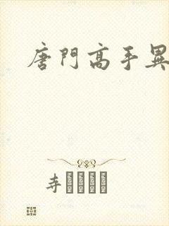 唐门高手异界游