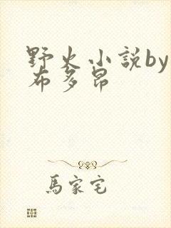 野火小说by夏布多昂