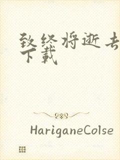 致终将逝去青春下载