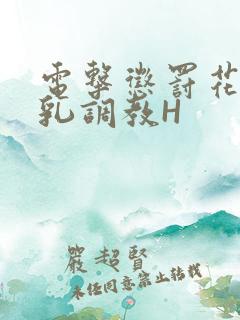 电击惩罚花蒂榨乳调教H