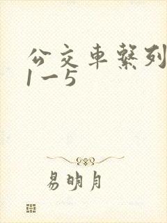 公交车系列合集1一5