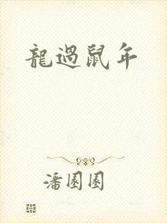 龙过鼠年