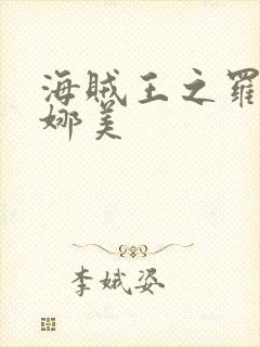 海贼王之罗宾h娜美