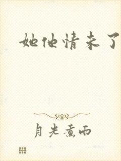 她他情未了
