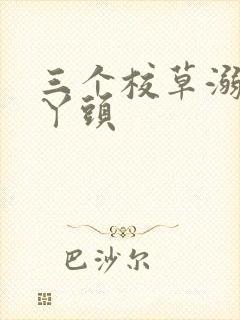 三个校草溺爱拽丫头