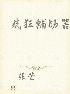 疯狂辅助器