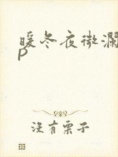 暖冬夜微澜VIP