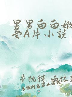 男男白白嫩嫩小受A片小说