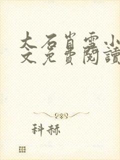 大石肖雪小说全文免费阅读