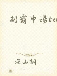 制霸中场txt